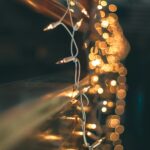 kevin fitzgerald nk6vQ7Ma Kw unsplash