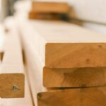 marissa daeger iW9iaL gjX8 unsplash